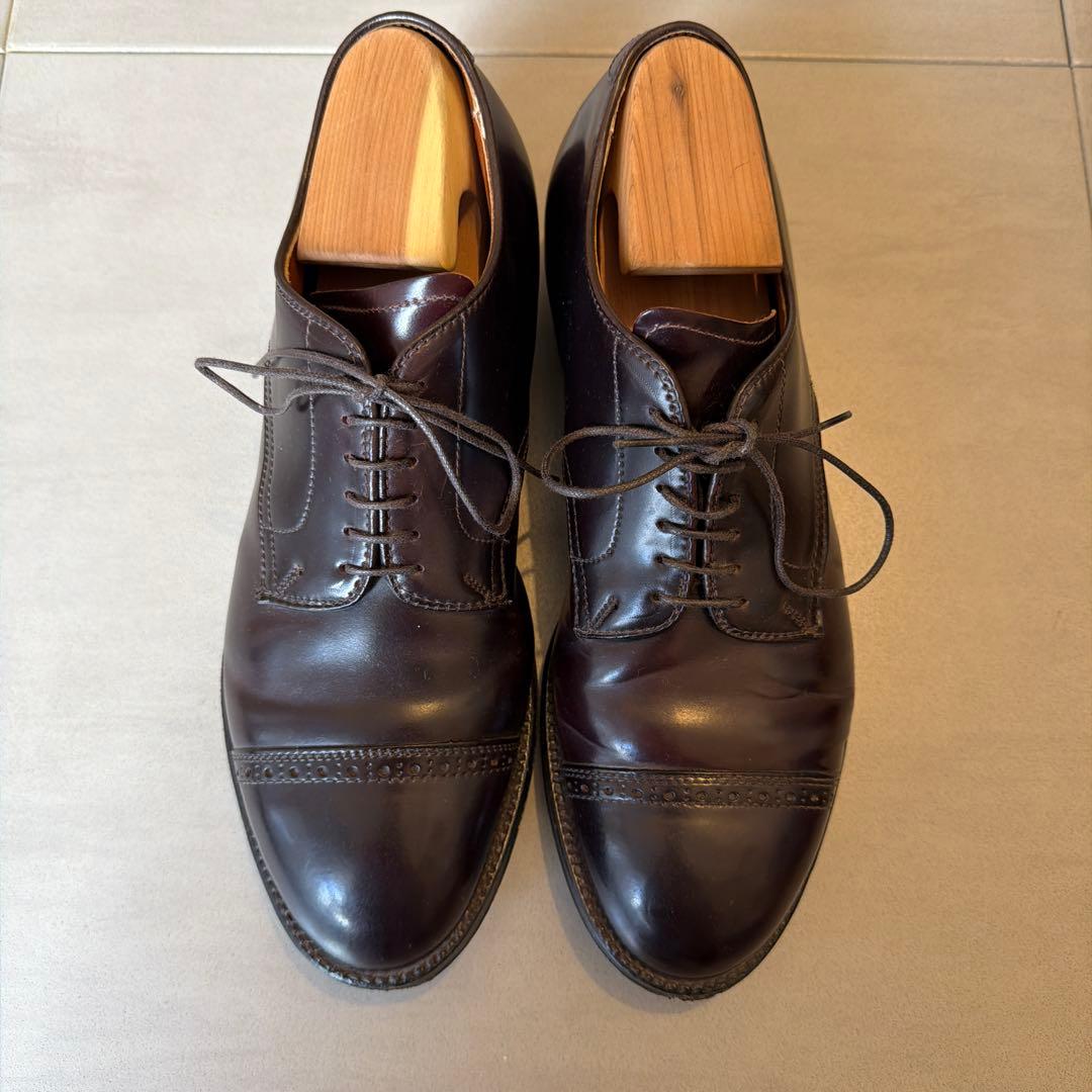 Aldenオールデン 56259 パンチドキャップトゥ