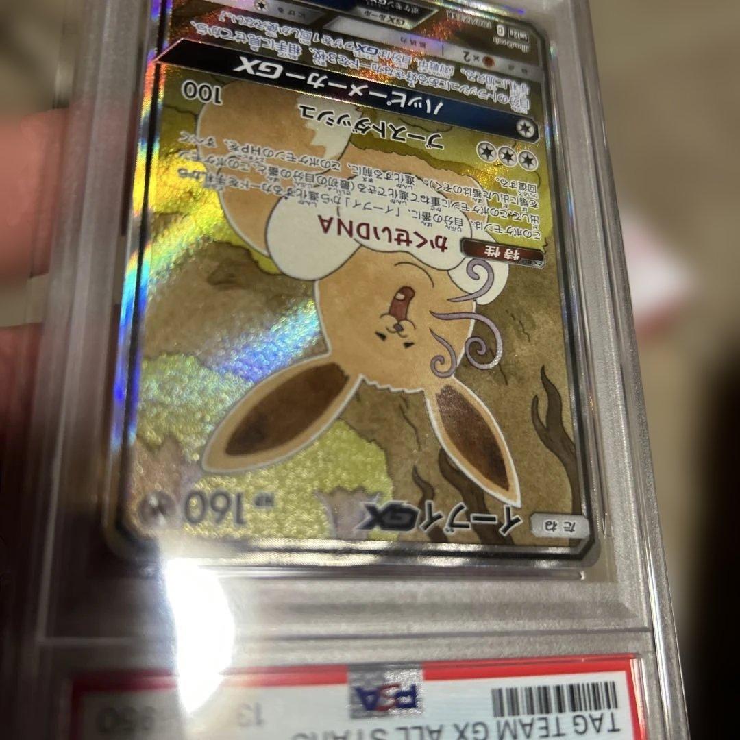 ポケモン大好きくん専用 イーブイGX PSA 10タッグオールスターズ