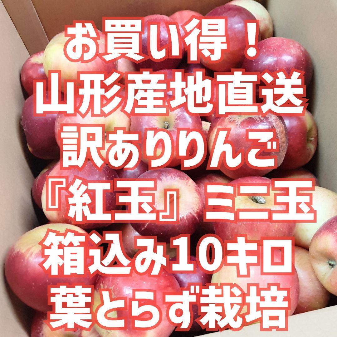 お買い得！訳ありりんご『紅玉』ミニ玉 箱込約10キロ×2箱 山形直送葉とらず栽培