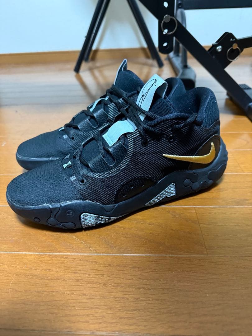 シューズ(男性用) Nike PG6 Black llic gold 27.0