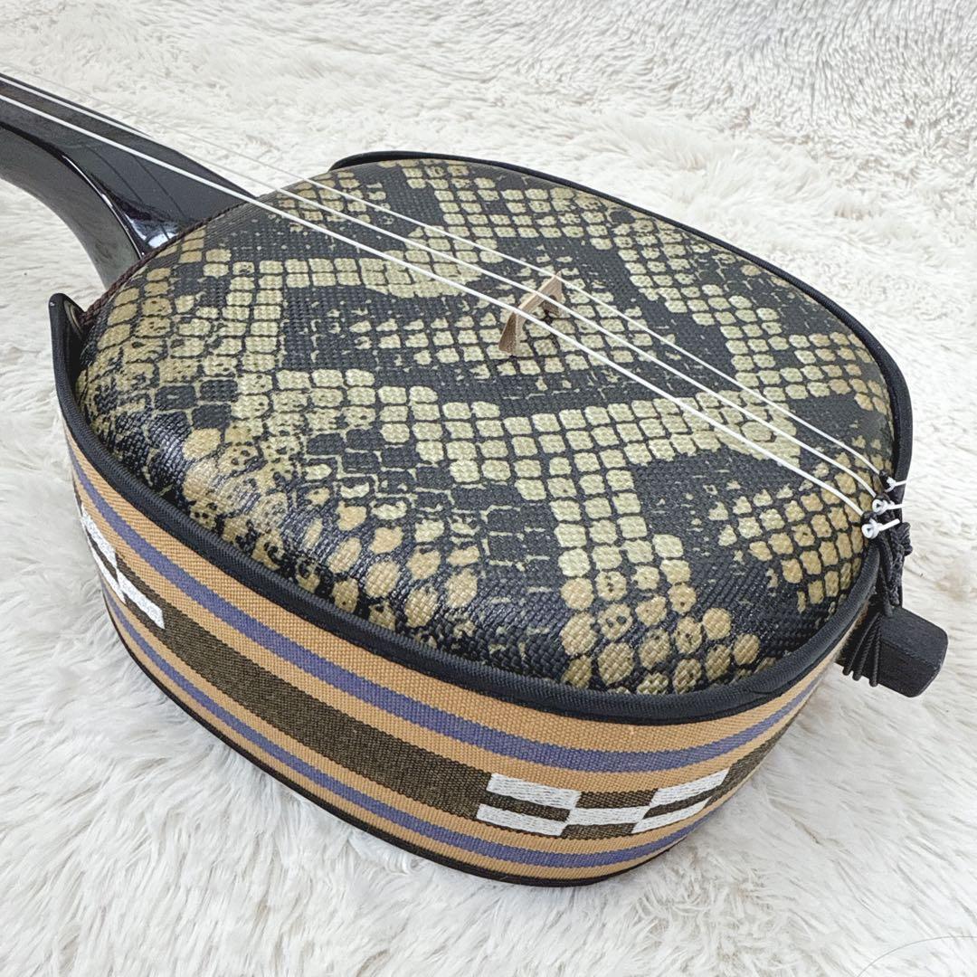 美品 沖縄三線 三線 入門セット フルセット 人工皮 譜面セット DVD CD