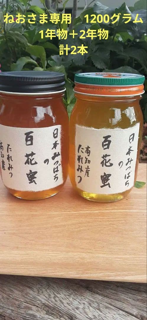 日本ミツバチ 蜂蜜 令和7年度 採れたて　たれ蜜　2年もの1200g 非加熱