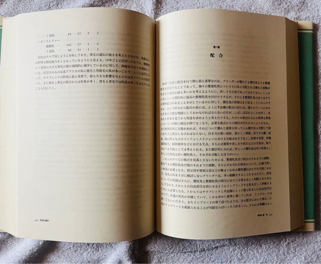 【非売品】馬産の理論と実践 (血統・競馬)