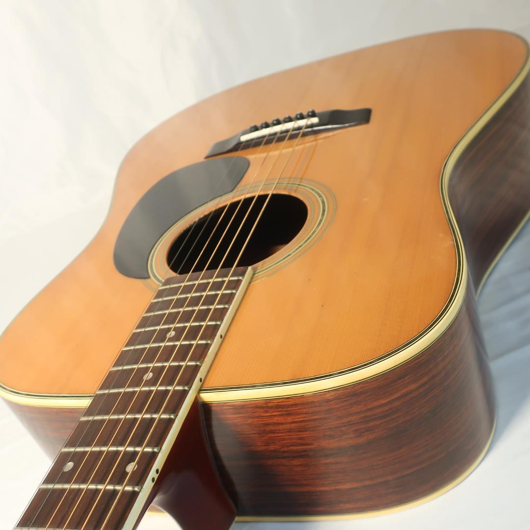 Morris W-28 アコースティックギター