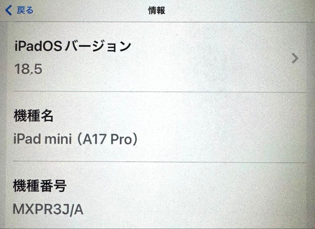 iPadmini(A17pro）Apple Pencil Pro セット