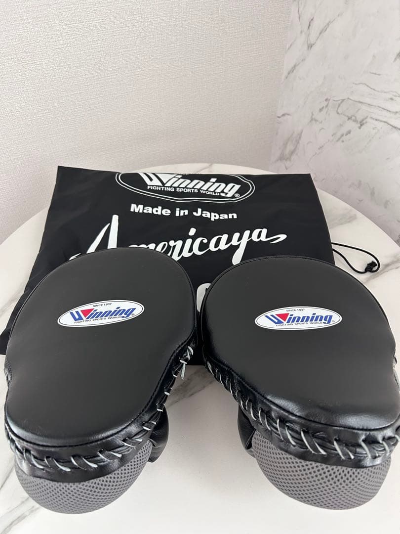 Winning CM-65パンチグミットハイグレードタイプ