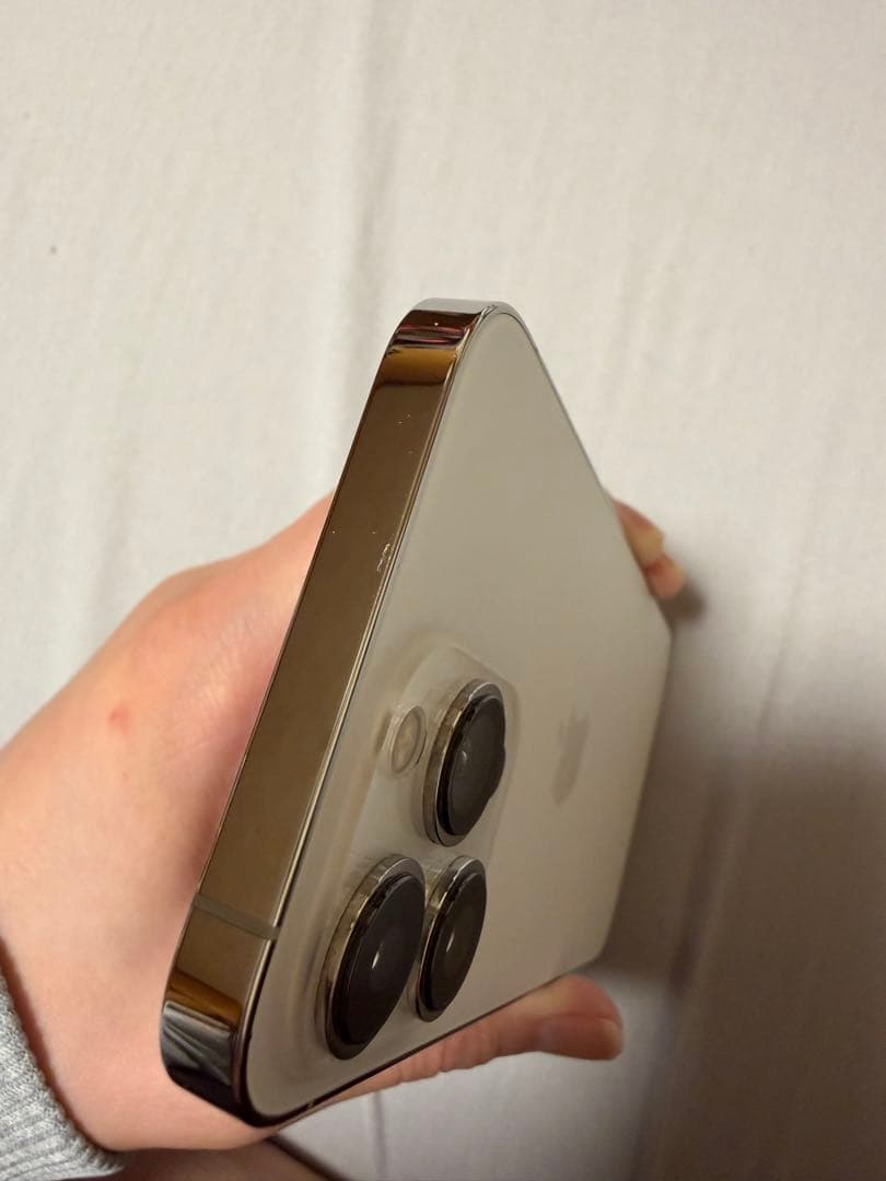 Apple iPhone 13 Pro シルバー 本体　箱付き