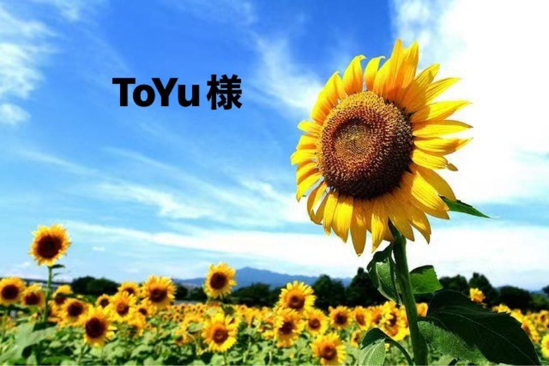 ToYu様