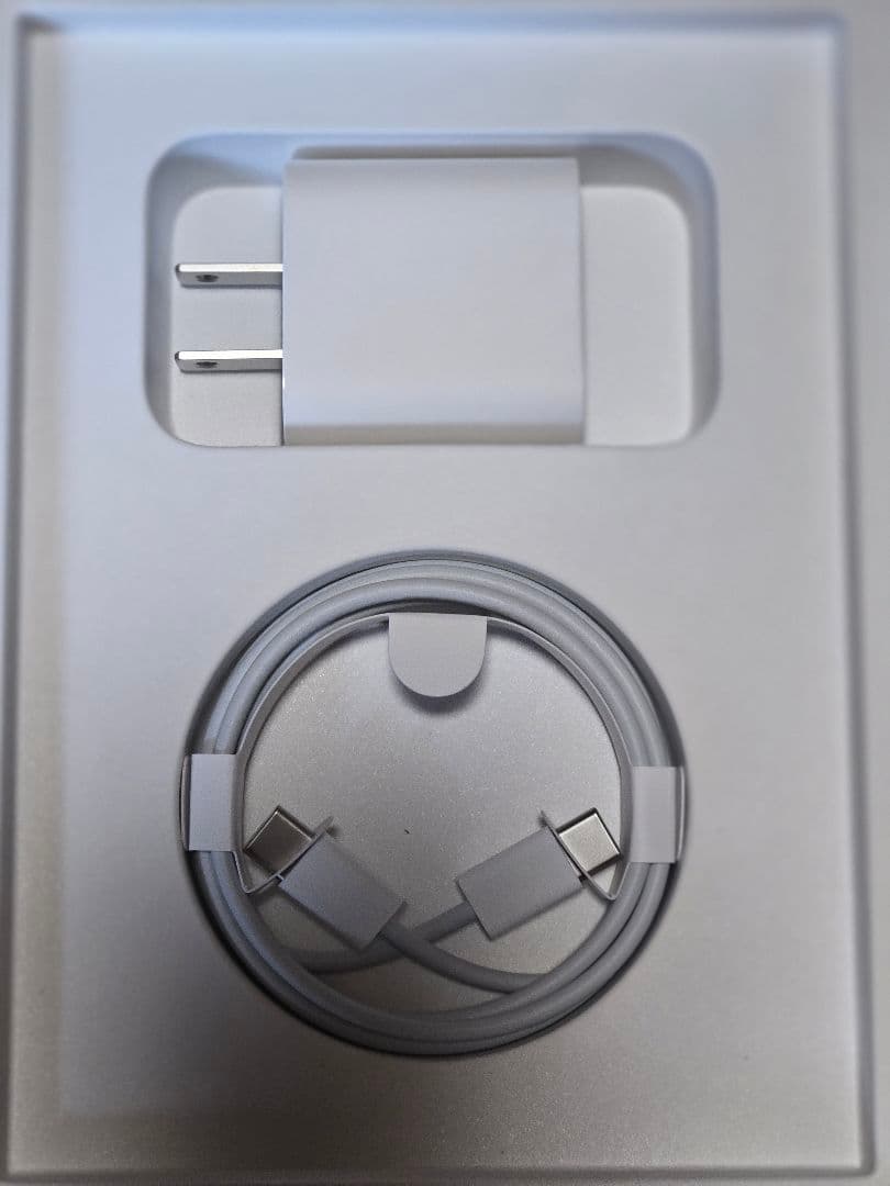 iPad mini (第6世代) 256GB Wi-Fi