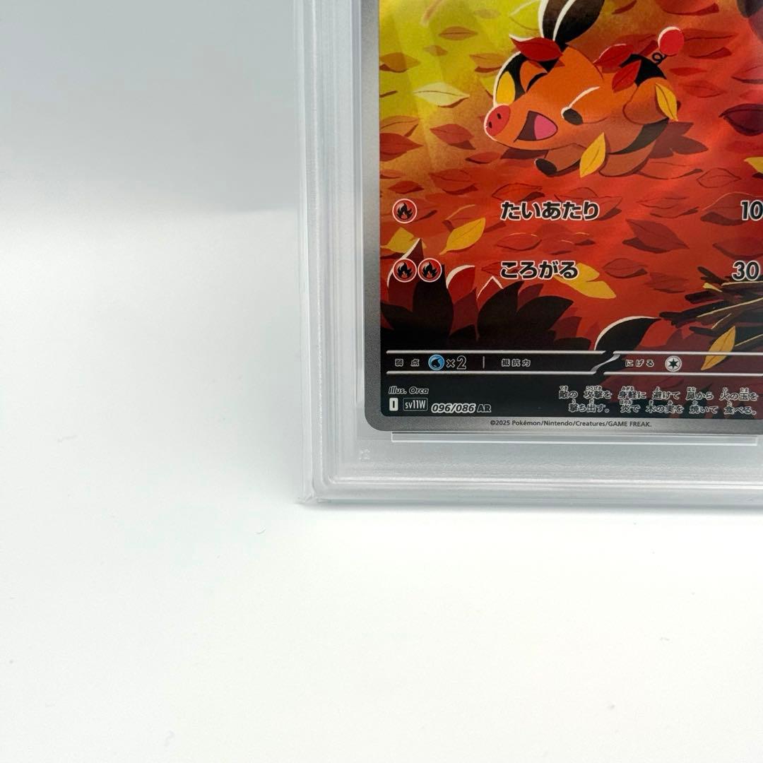 【PSA10】ポカブ　AR