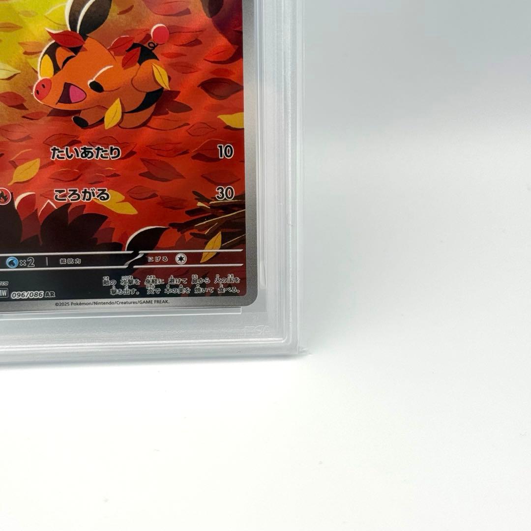 【PSA10】ポカブ　AR