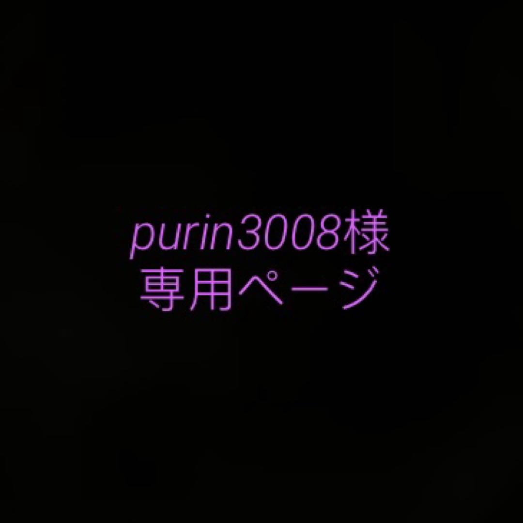 purin3008ページ