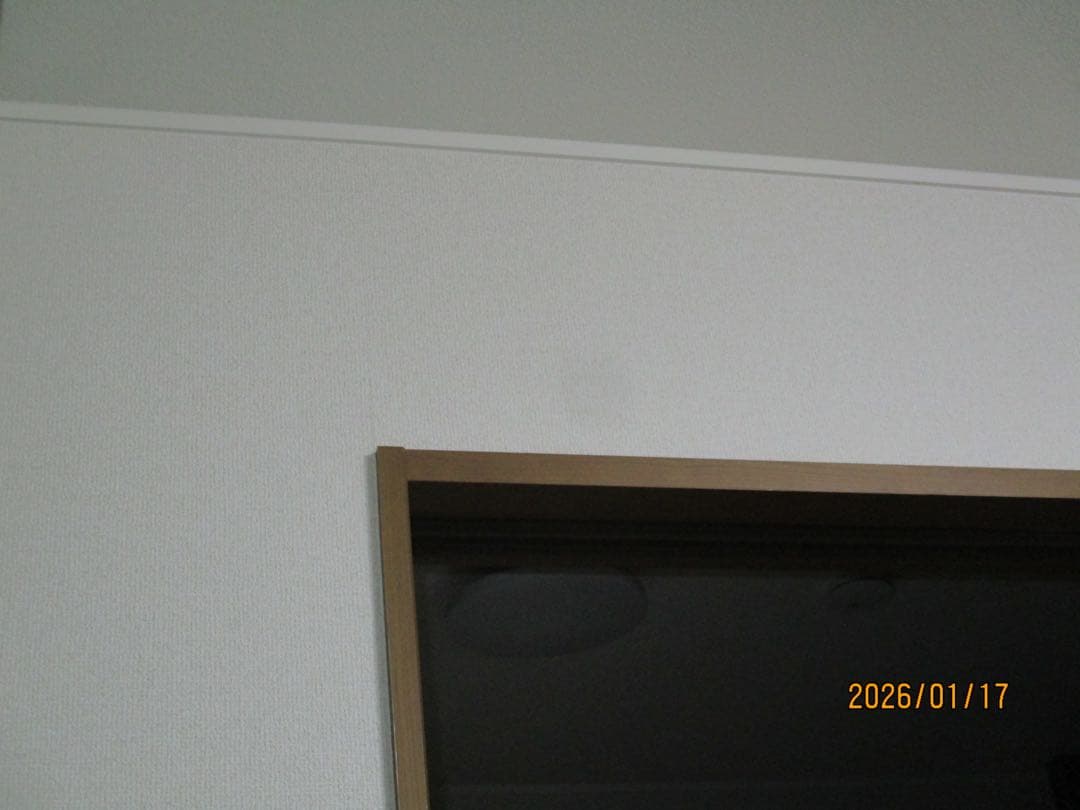 【オールドコンデジ】 Canon IXY 200