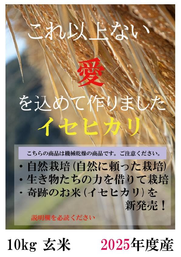 イセヒカリ10kg玄米　たけ爺ブランド栽培期間中無化学肥料・栽培期間中無農薬栽培