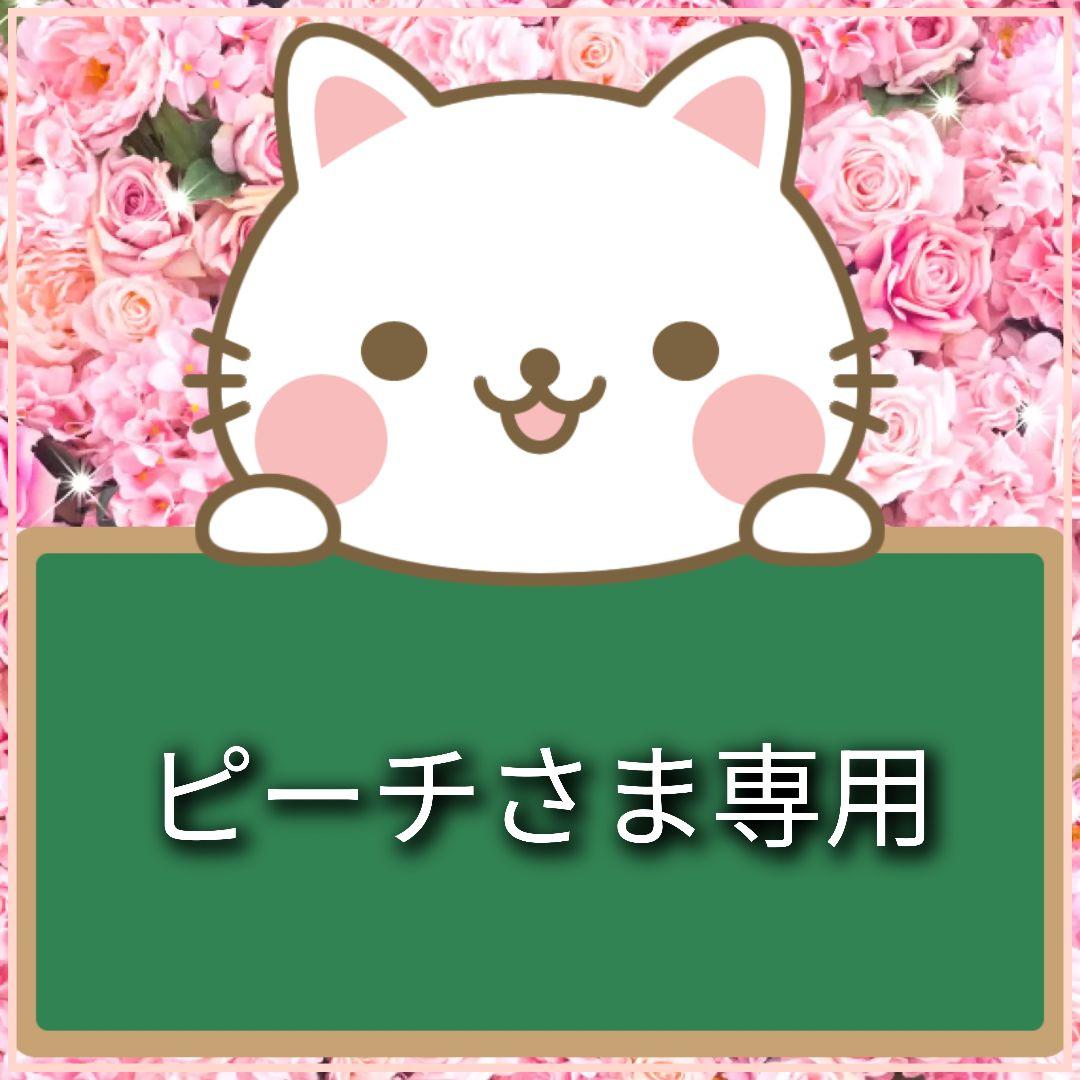 【受注制作】両面ミニトート2点、両面ミニトート（内側あり）1点