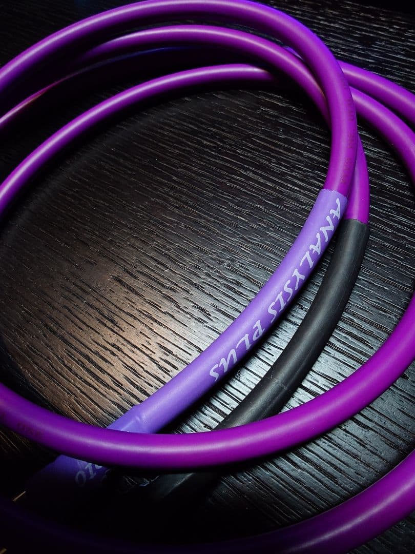 ANALYSIS PLUS オーバルワン RCA100cmペア