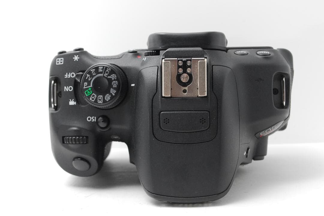 1本のレンズで近くも遠くも撮れる♪Canon Kiss X7i　バリアングル液晶