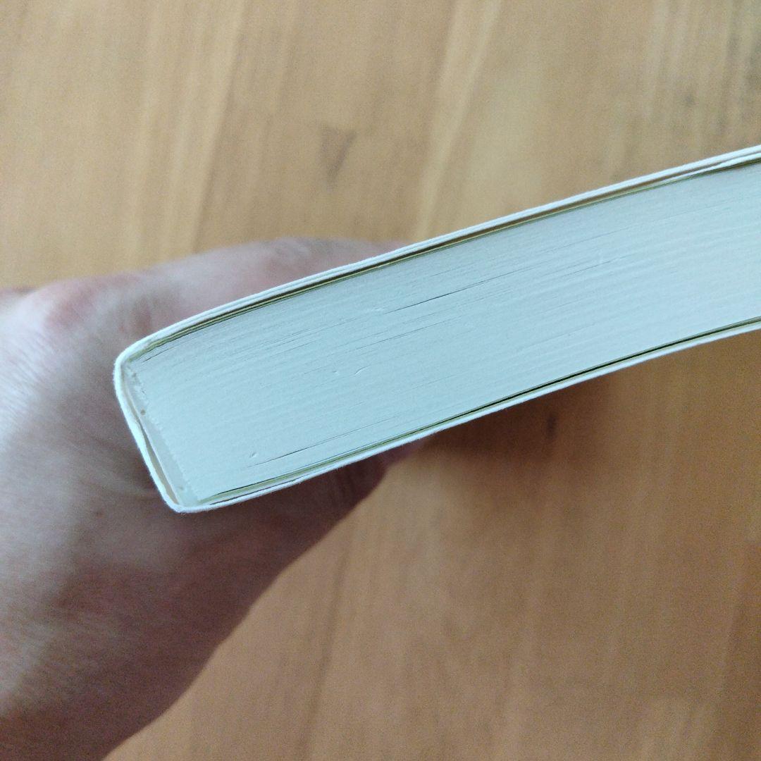 精解 神の詩 聖典バガヴァッド・ギーター 6