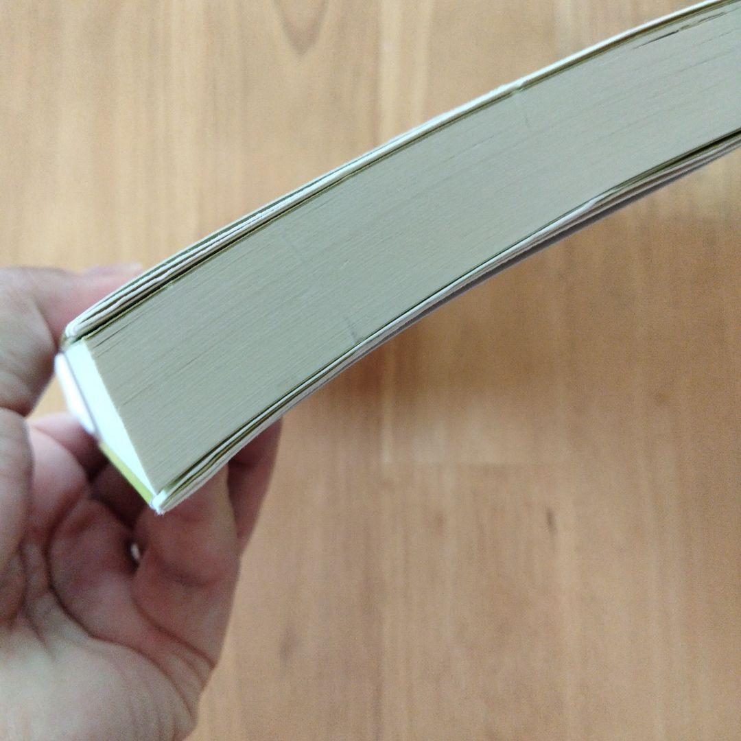 精解 神の詩 聖典バガヴァッド・ギーター 6