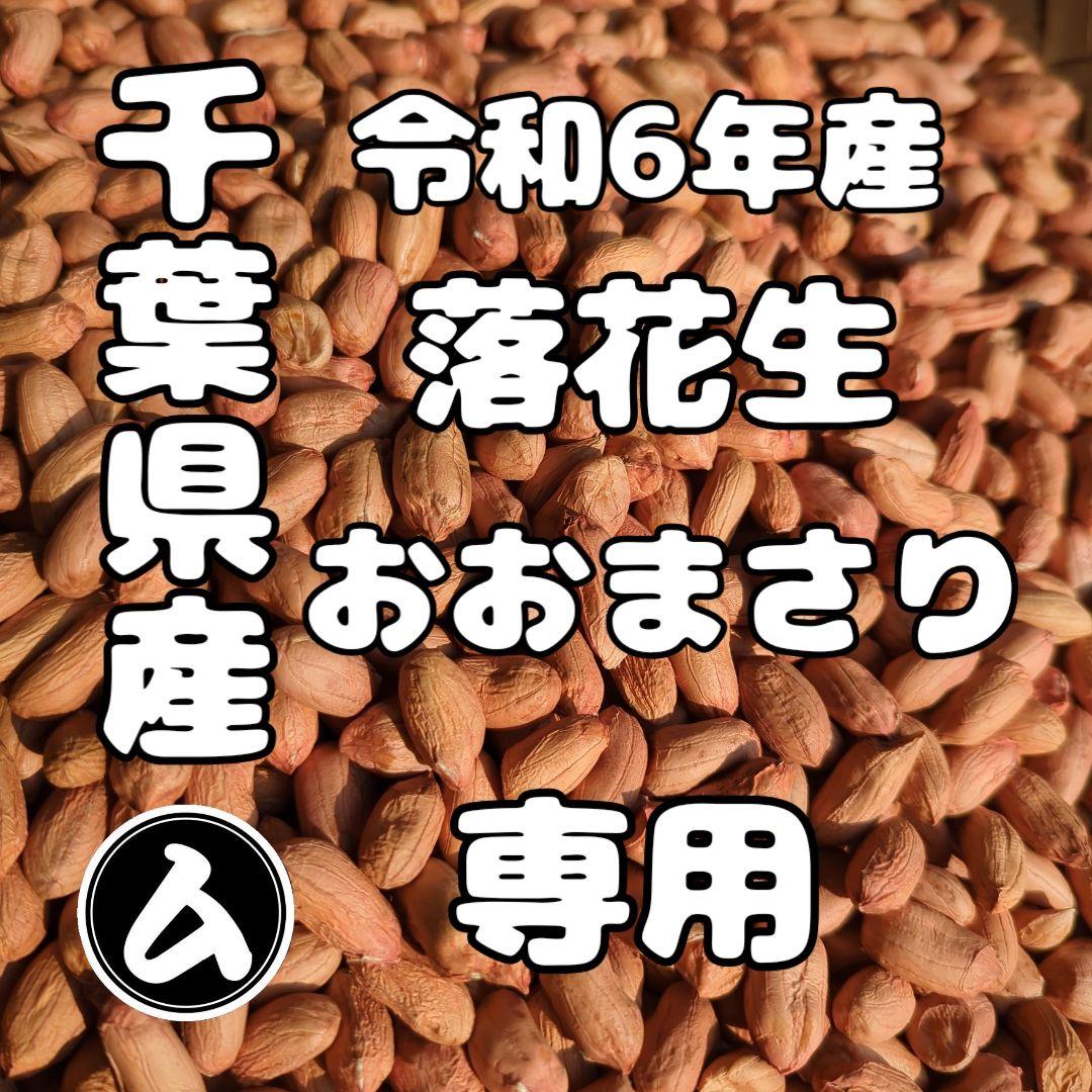 KAZU　おまとめ　千葉県産 おおまさり 手むき 乾燥生落花生