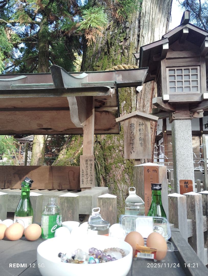 うさみみですヾ(。>﹏<。)ノ゛✧*。