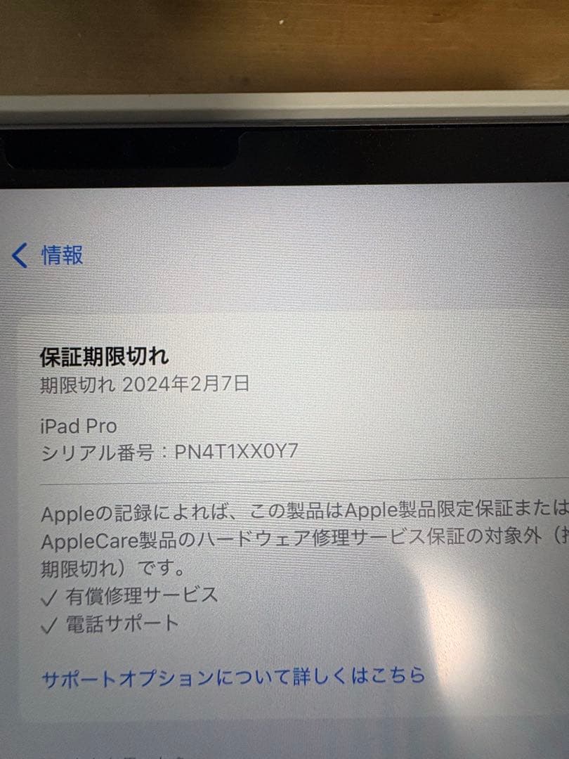 最安値iPadPro11インチ第4世代 256GBwifi+cellular