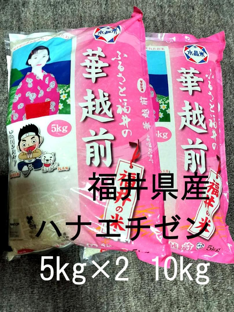 福井県産 ハナエチゼン 華越前 10kg (5kg×2) 5月上旬精米