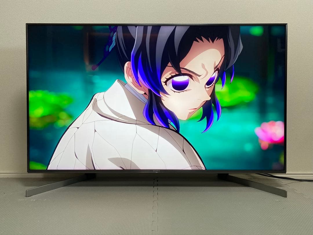 たリメロ SONY BRAVIA KJ-49X9500G 4K テレビ