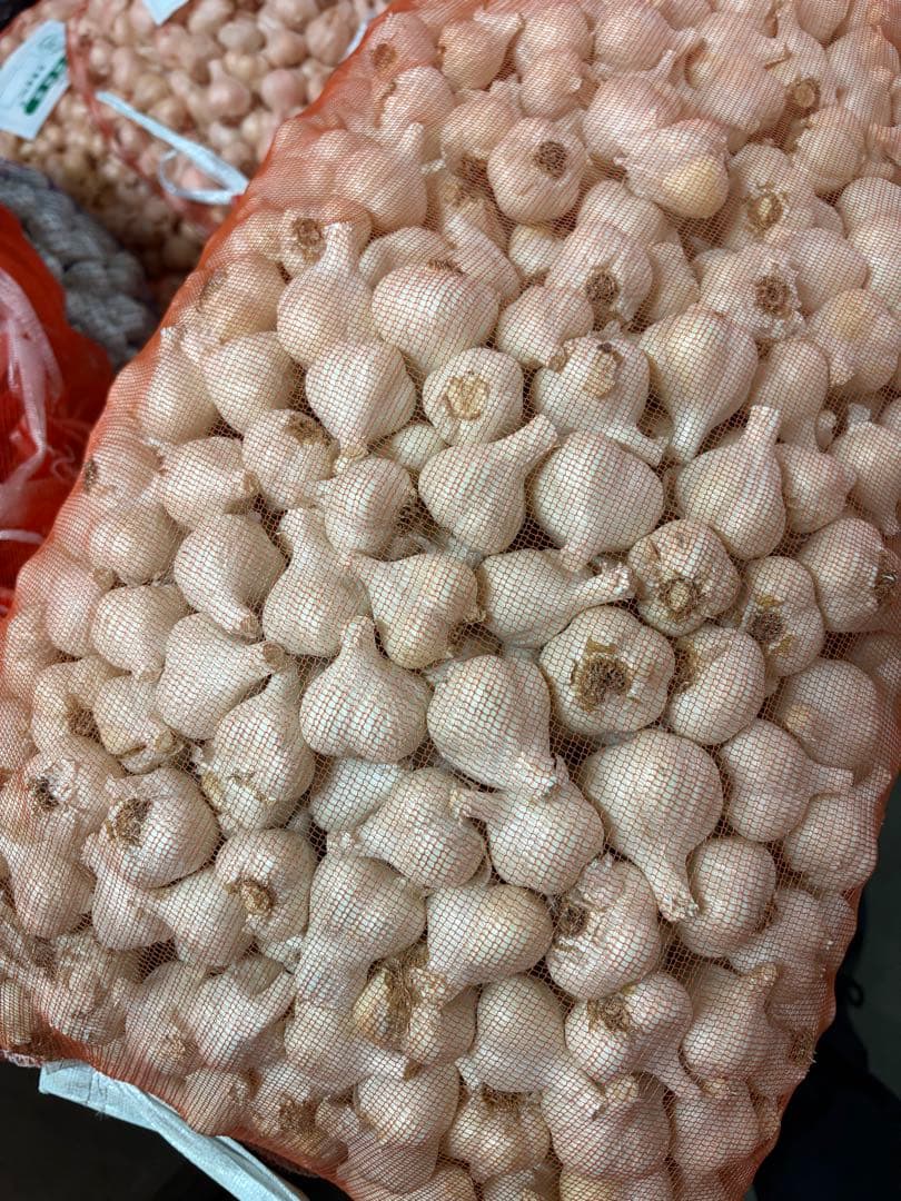 新物 青森県産 福地ホワイト六片 にんにく 玉小 １０ｋｇ