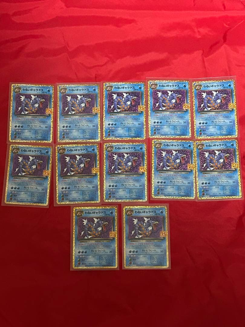 わるいギャラドス25th