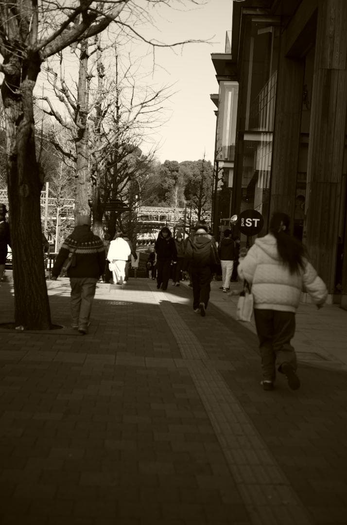 Summarit-M 50mm f2.5 ライカ銘玉ズマリット 元箱付き 美品