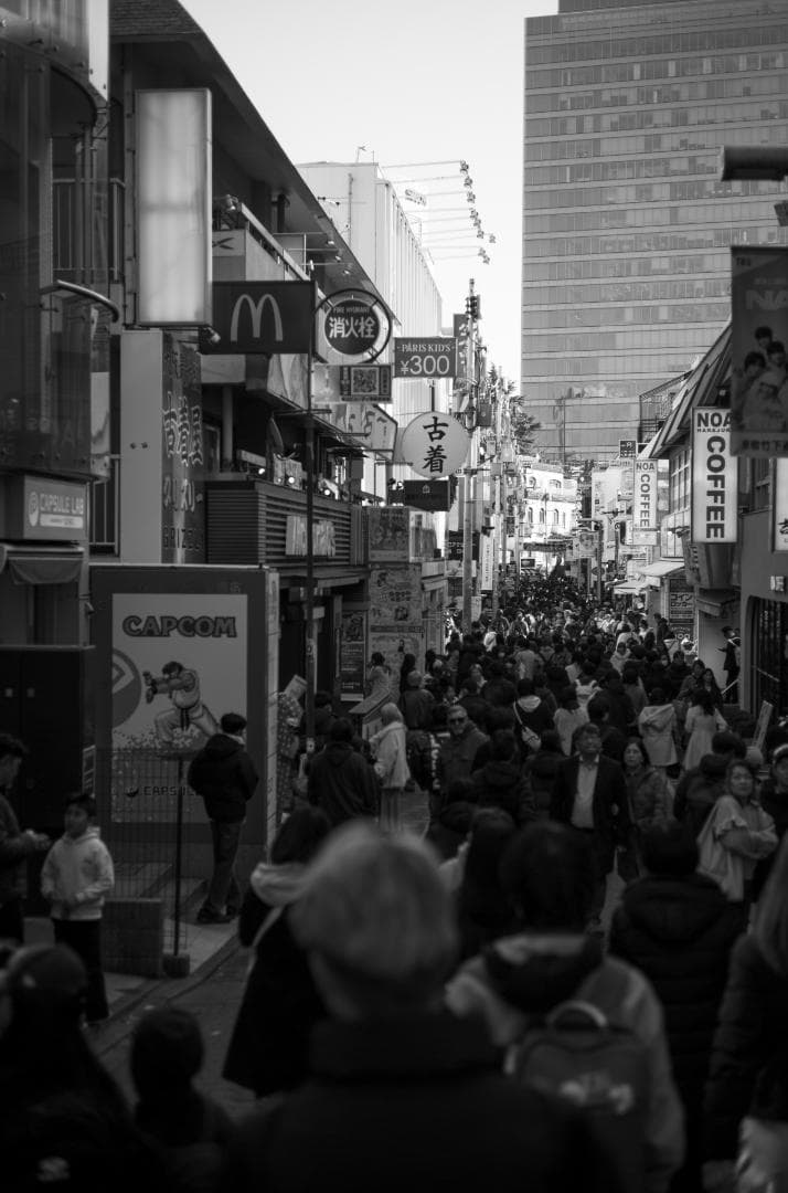 Summarit-M 50mm f2.5 ライカ銘玉ズマリット 元箱付き 美品