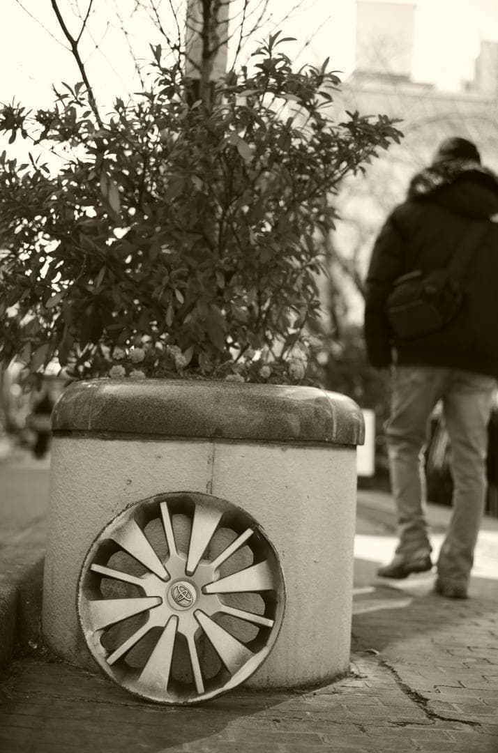 Summarit-M 50mm f2.5 ライカ銘玉ズマリット 元箱付き 美品