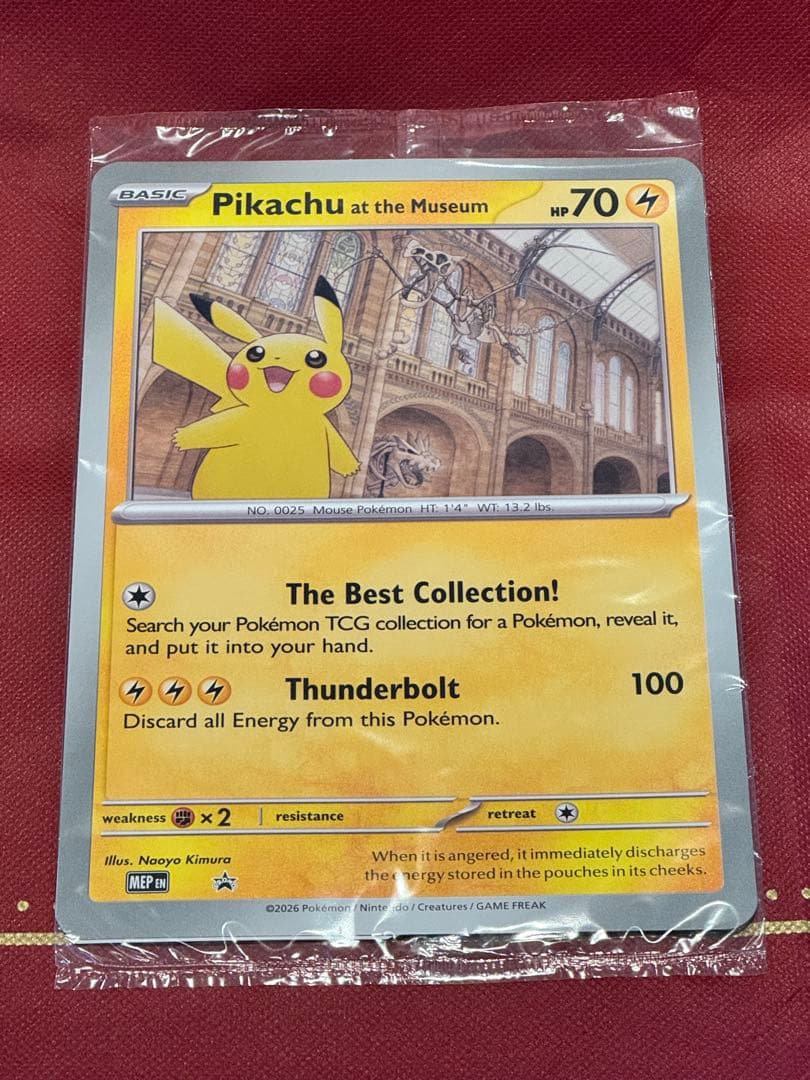 Pikachu at the Museum ポケモン ピカチュウ 自然史博物館