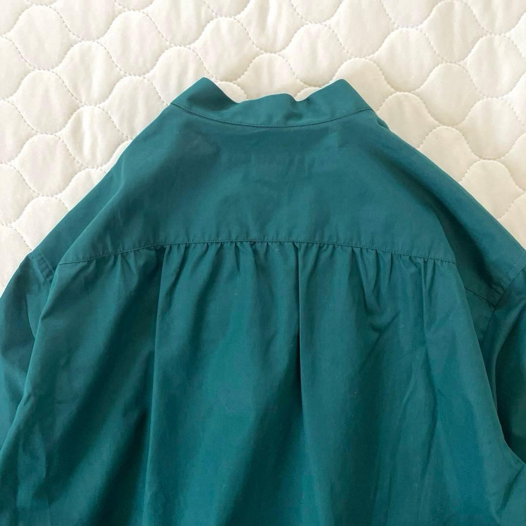 【極美品】定価7.3万✴︎ブリエンヌパリディス コットンフリルカラーブラウス