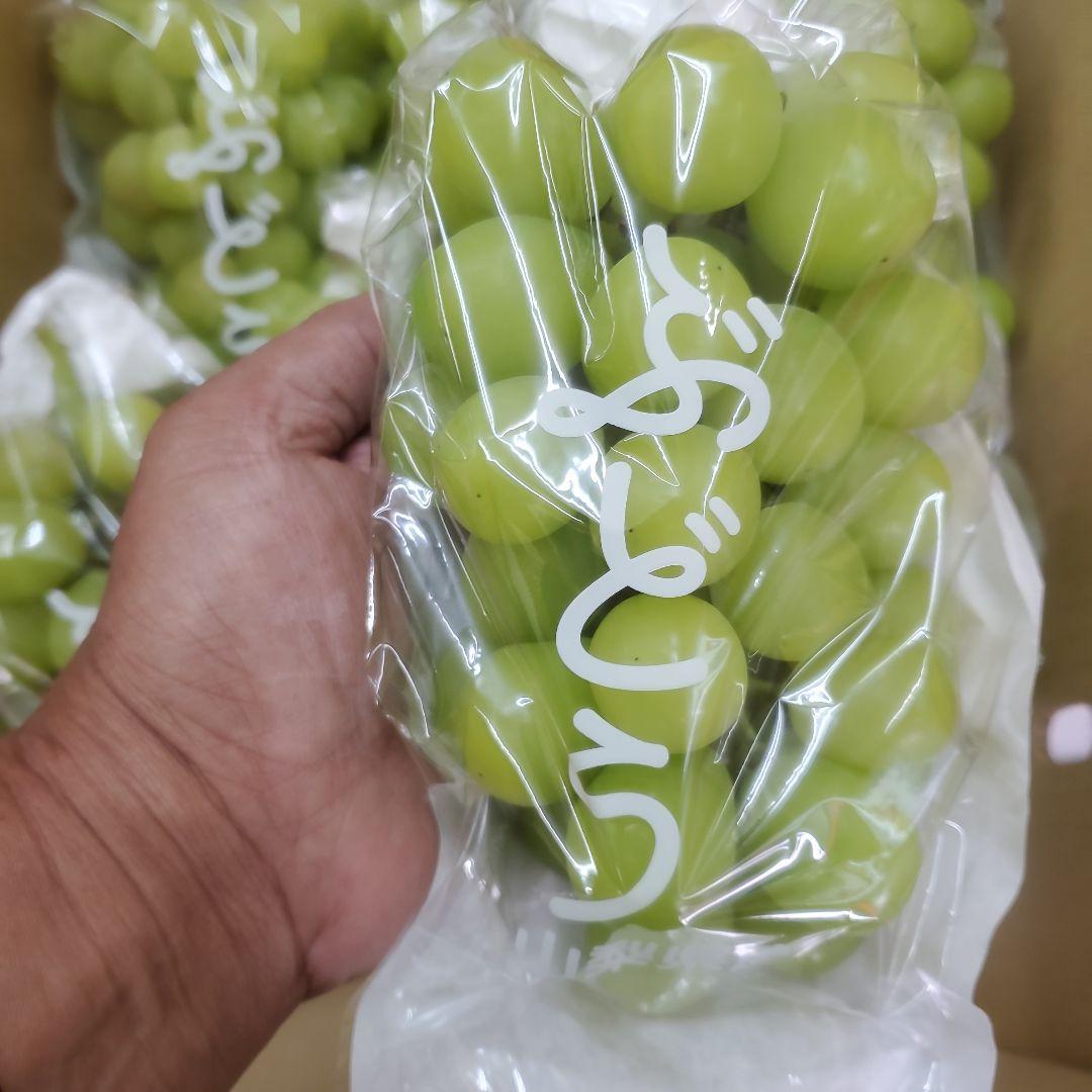 9️⃣ 山梨県産 シャインマスカット １０房入り 箱込み5.5キロ