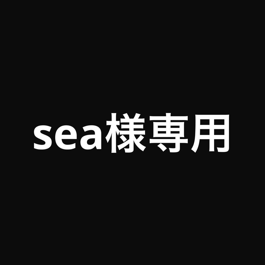 デジタルカメラ sea