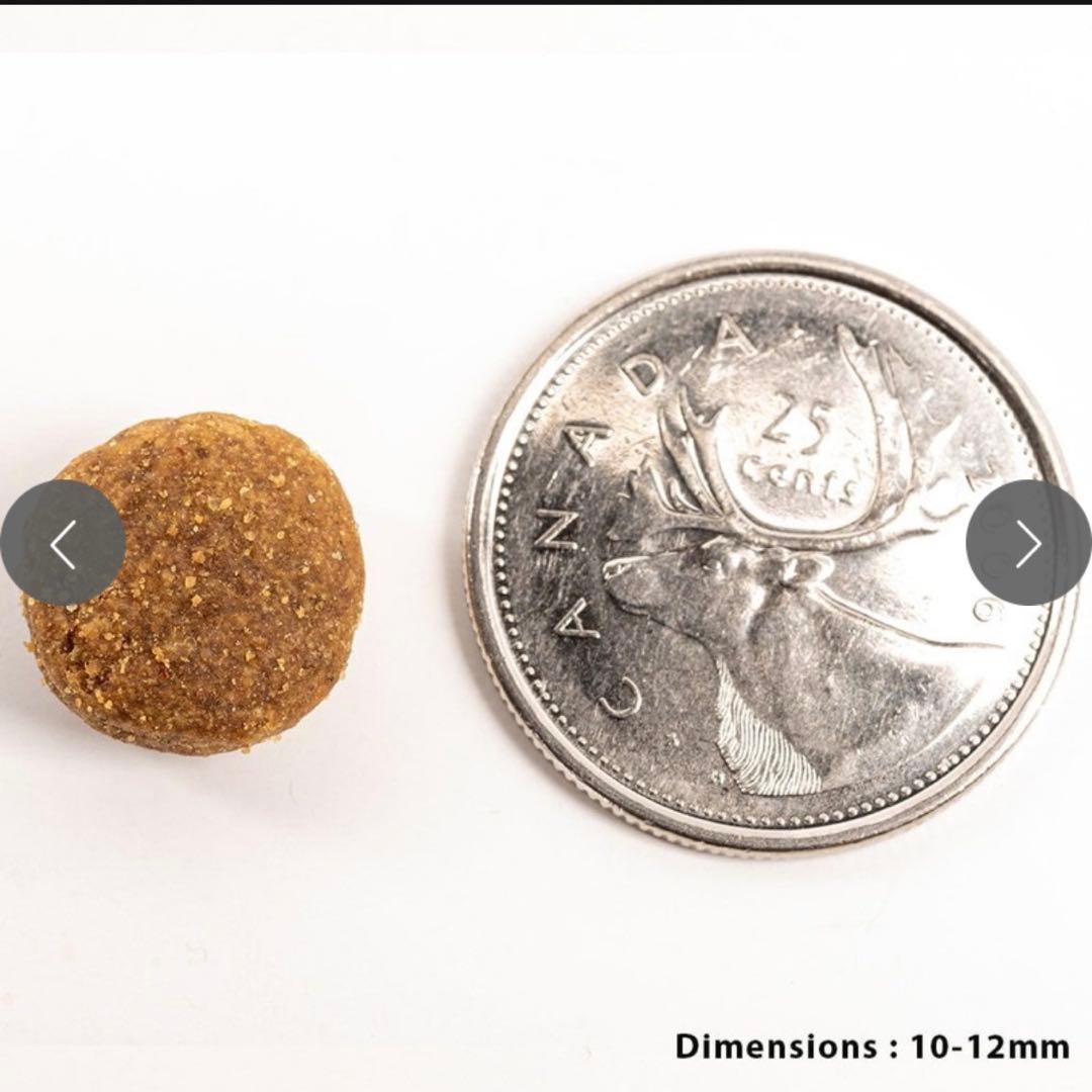 PetKind グリーントライプ ワイルドサーモン ドッグフード 11.34kg