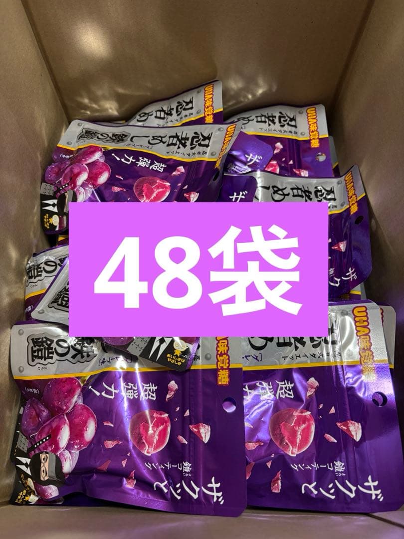 忍者めし鉄の鎧　グレープ味　48袋セット