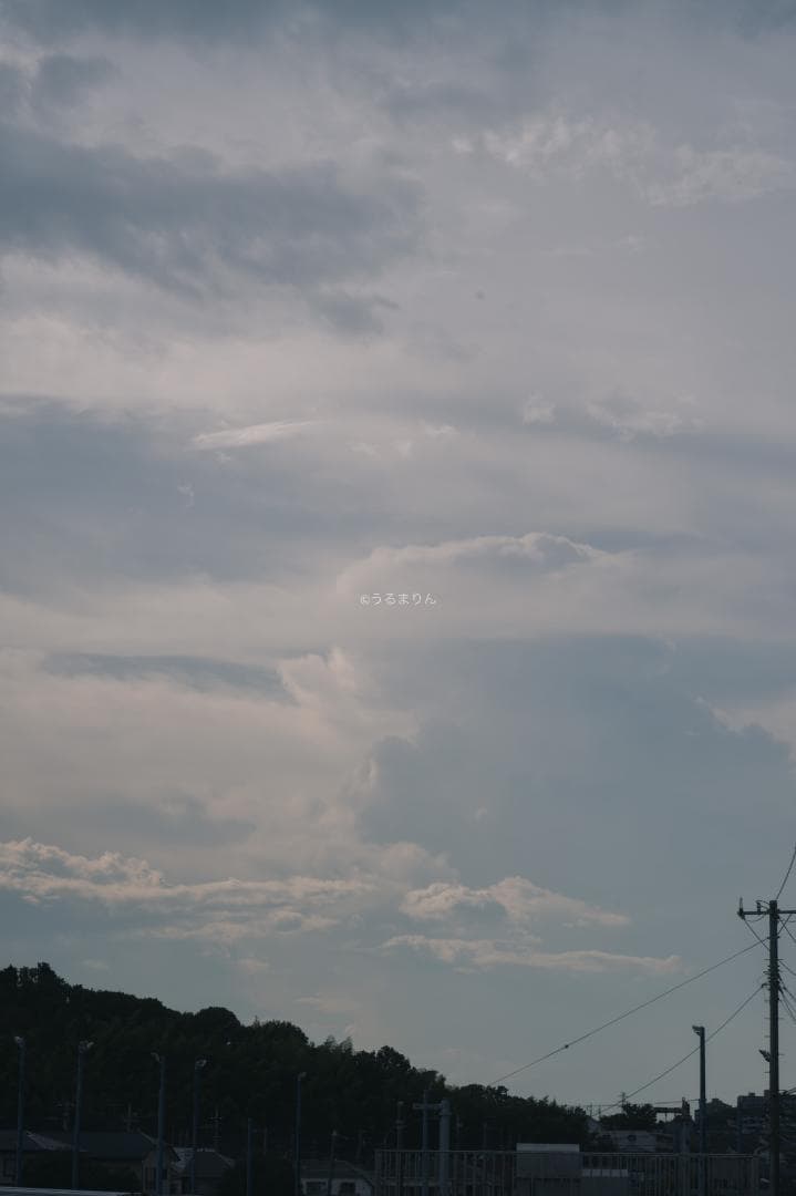 そこつや様貴重な黒モデル！Leica Elmar 90mm F4 Black