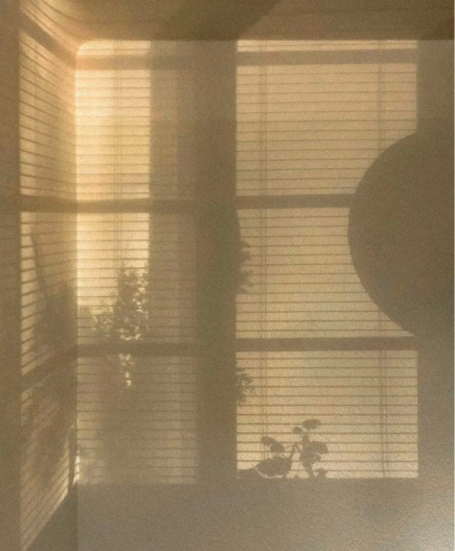 【新品未使用】イサムノグチ akari 55A オゼキ黒箱 LED電球ソケット付