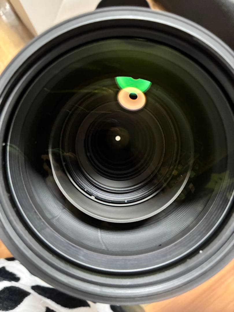 【Dimas prasetyo】SIGMA 150-600mm