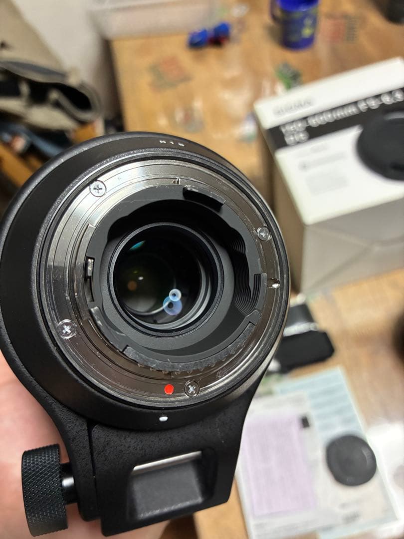 【Dimas prasetyo】SIGMA 150-600mm