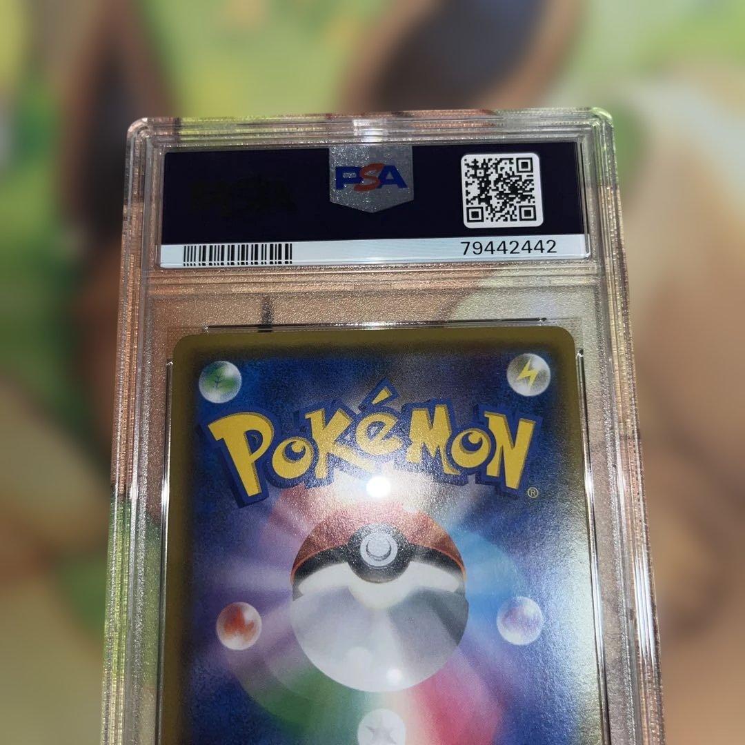 ムサシとコジロウ PSA9