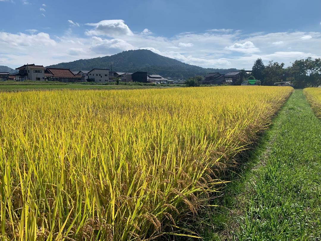 令和7年度産　新米ヒノヒカリ　玄米10kg(送料込)減農薬のお米