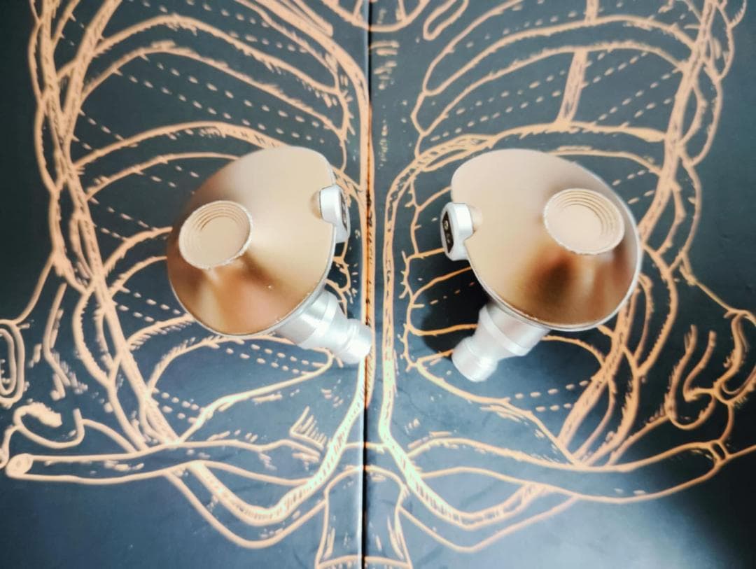 C*s様 MMR Homunculus (最終値下げ)