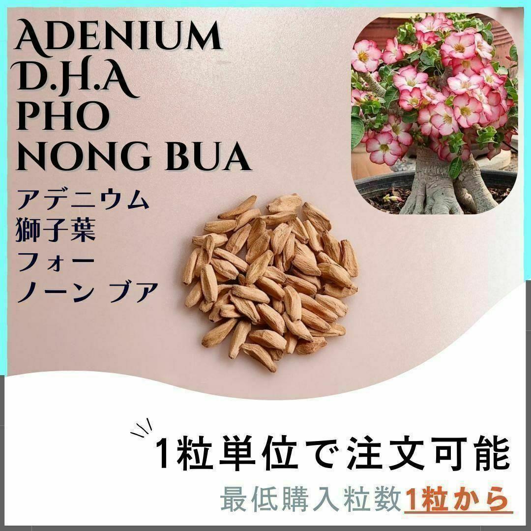 【すいっとぽてっと（12/29〜おやすみ）】