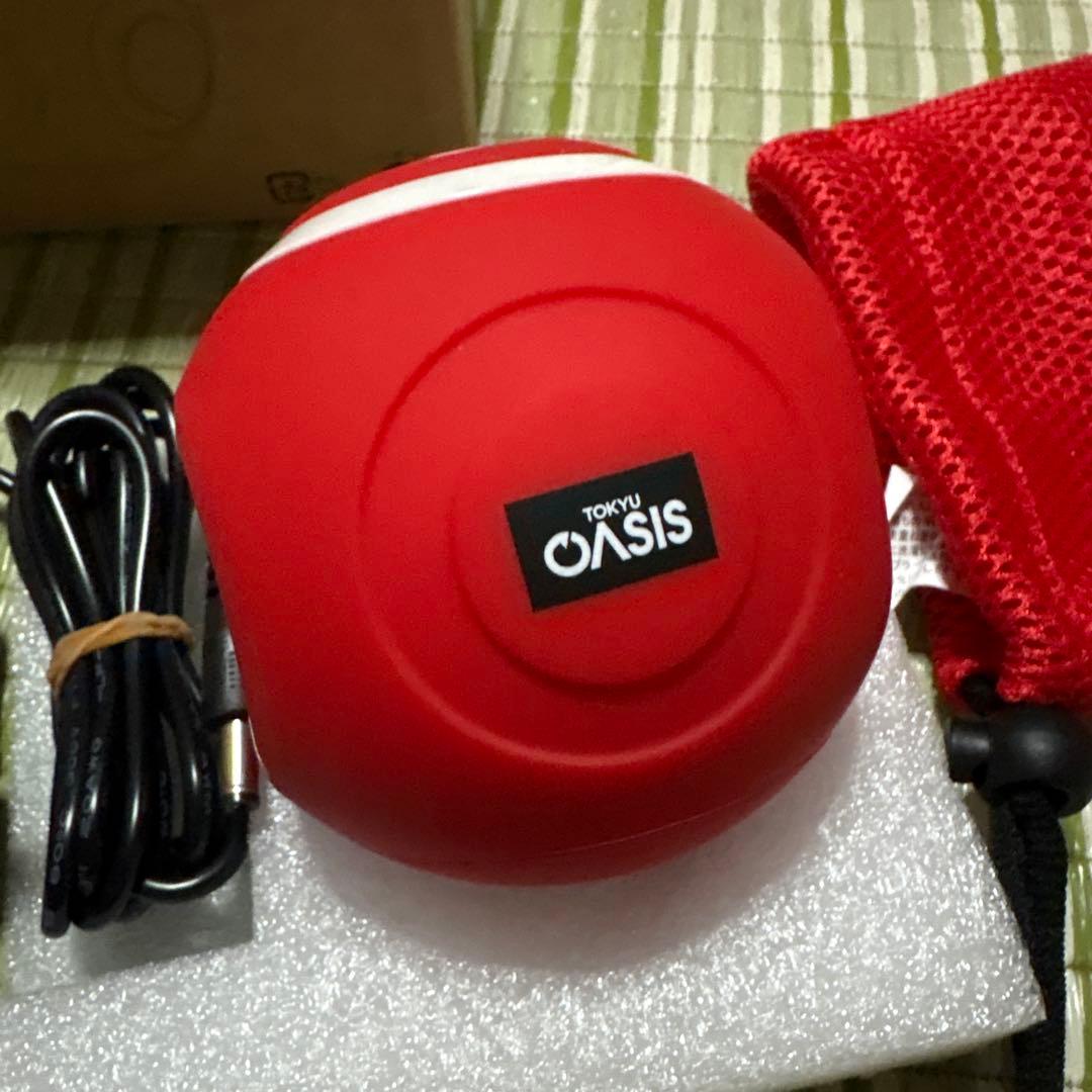 フィットネスクラブがつくった スタイリーボール 赤　レッド ストレッチ