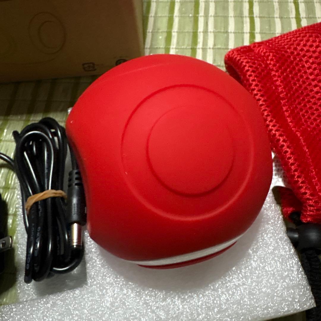 フィットネスクラブがつくった スタイリーボール 赤　レッド ストレッチ