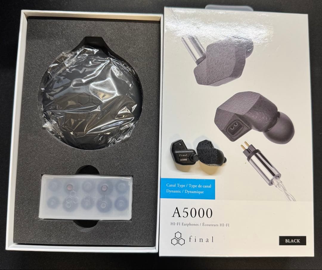 final A5000 ケーブル・イヤーフック欠品